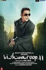Movie poster: Vishwaroopam