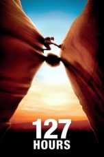 Movie poster: 127 Hours