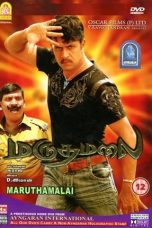 Movie poster: Policewala Gunda 4