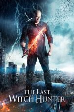 Movie poster: The Last Witch Hunter