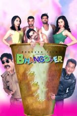 Movie poster: Journey Of Bhangover
