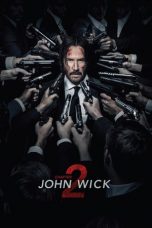 Movie poster: John Wick: Chapter 2