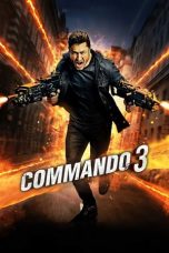 Movie poster: Commando 3