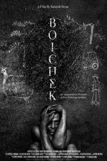 Movie poster: Boichek