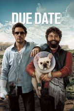 Movie poster: Due Date