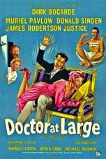 Movie poster: Doctor at Large