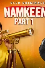 Movie poster: Namkeen Part 1 Season 1 Complete