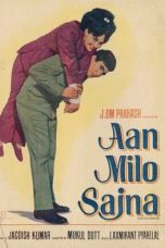 Movie poster: Aan Milo Sajna