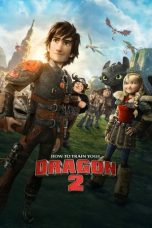 Movie poster: How to Train Your Dragon 2