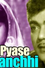 Movie poster: Payaase Panchhi
