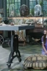 Movie poster: A Series of Unfortunate Events Season 1 Episode 3