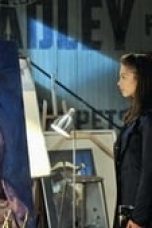 Movie poster: Beauty and the Beast Season 1 Episode 6