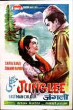 Movie poster: Junglee