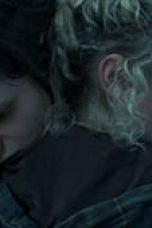 Movie poster: Ozark Season 1 Episode 9