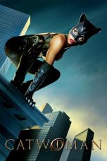 Movie poster: Catwoman