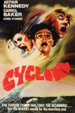 Movie poster: Cyclone