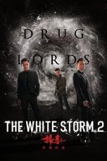 Movie poster: The White Storm 2: Drug Lords