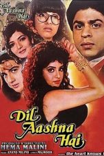 Movie poster: Dil Aashna Hai