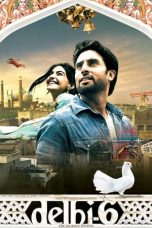 Movie poster: Delhi-6