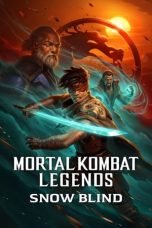 Movie poster: Mortal Kombat Legends: Snow Blind