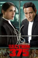 Movie poster: Section 375