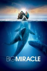 Movie poster: Big Miracle