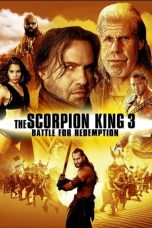 Movie poster: The Scorpion King 3: Battle for Redemption