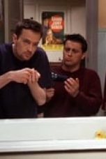 Friends Season 3 Episode 21 Movie poster: Friends Season 3 Episode 21