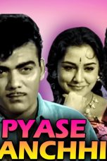 Movie poster: Payaase Panchhi 1961