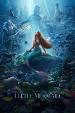 Movie poster: The Little Mermaid 2023