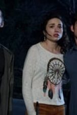 Movie poster: Teen Wolf Season 2 Episode 5