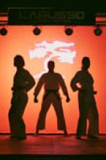 Movie poster: Cobra Kai Season 2 Episode 3 04112023