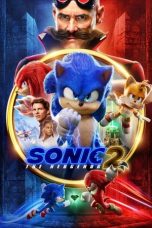 Movie poster: Sonic the Hedgehog 2 18122023