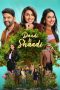 Movie poster: Daadi Ki Shaadi (2026)